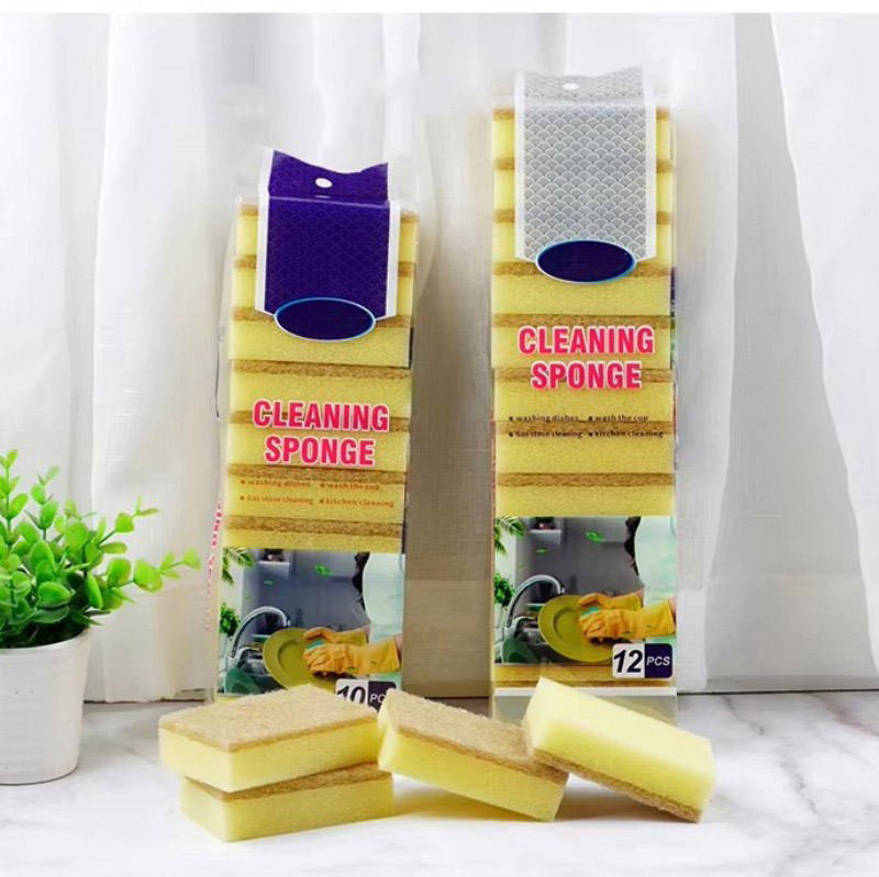 Sponge de fleur de douche Top 5 guides d'achat
