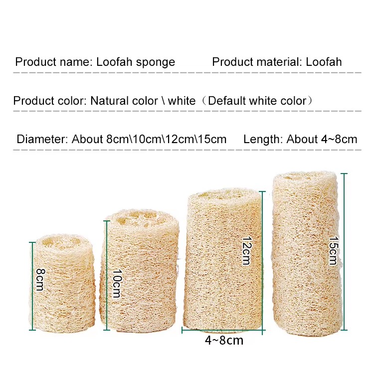 Comment choisir l’éponge Konjac pour sa peau ? Tout est ici !