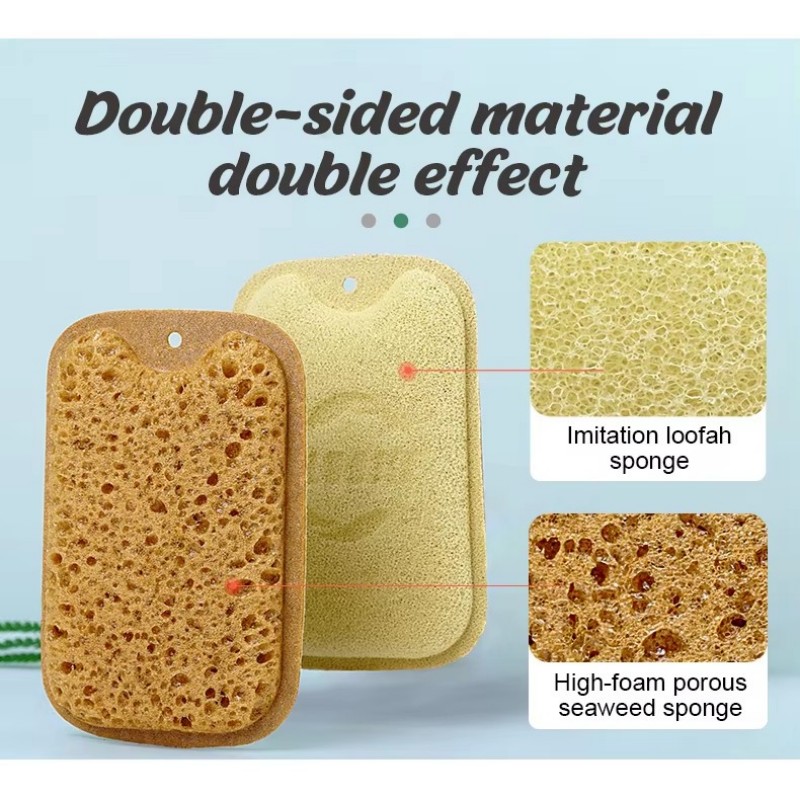 Êtes-vous intéressé par le lavage des fenêtres Sponge?