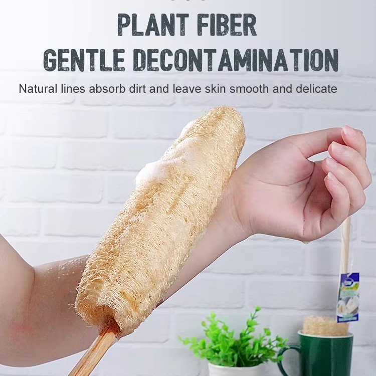 Brosse pour le corps, éponge de luffa à long manche