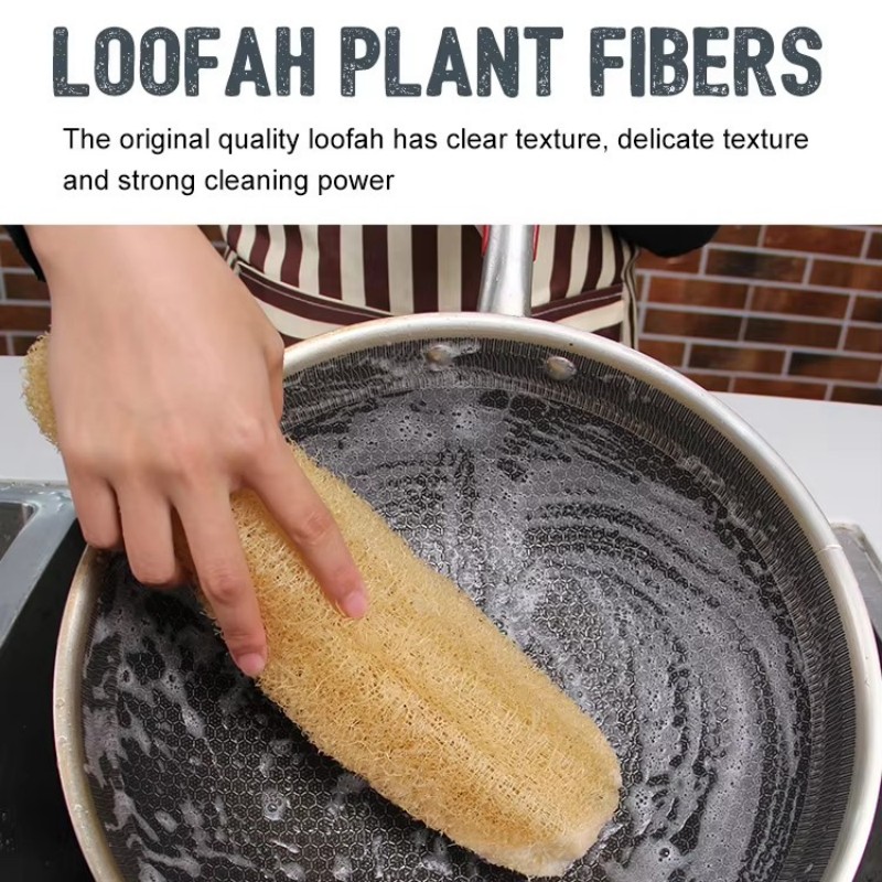Bain de vaisselle d'éponge de luffa environnemental